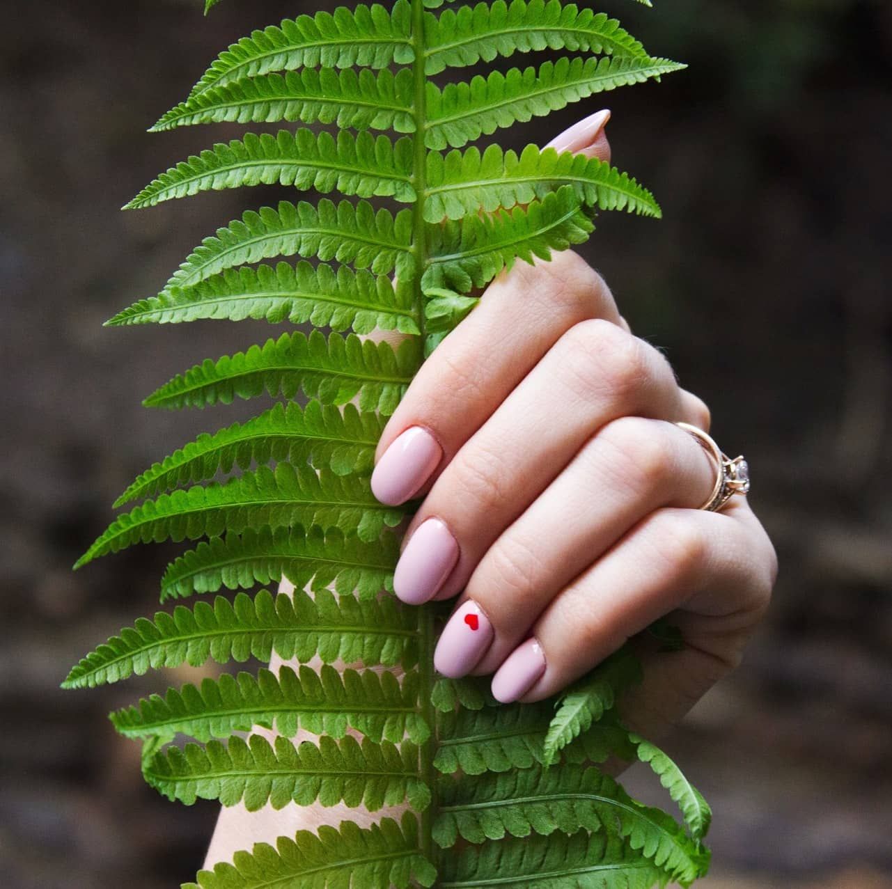 Fern in hand